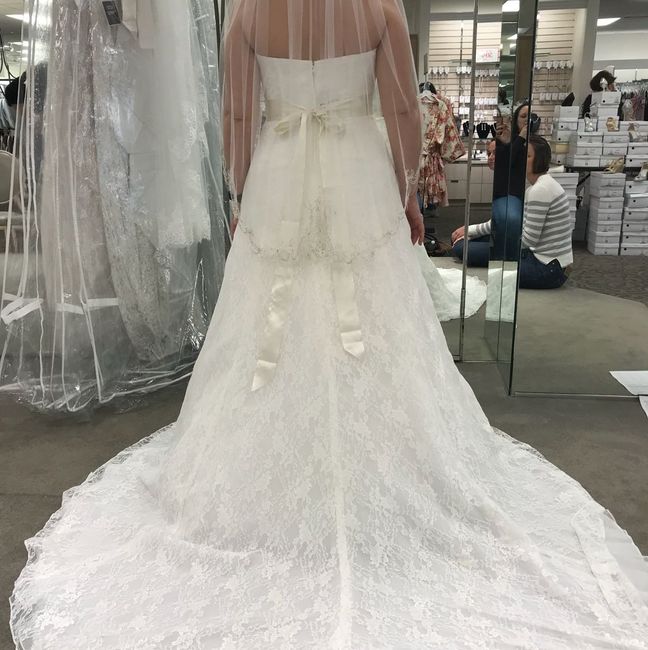  What kind of veil? - 2