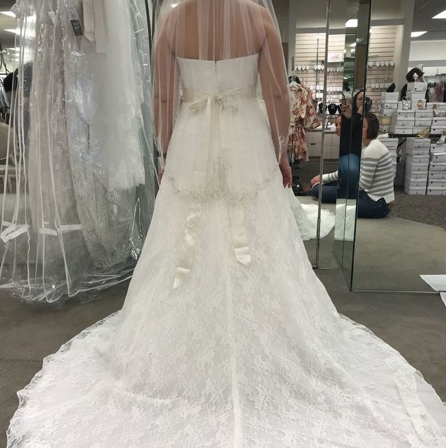 Show me you Davids Bridal Dress - 2