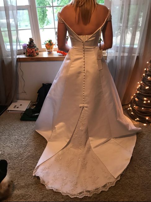 Got My Wedding Dress! - 1