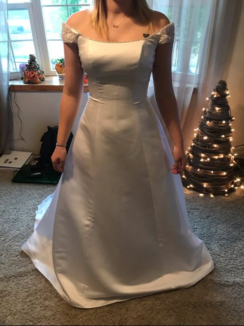 Got My Wedding Dress! - 2