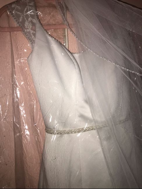 Got My Wedding Dress! - 3