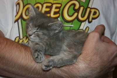 NWR: Furry Friends