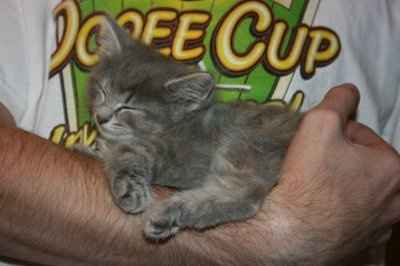 NWR: Furry Friends