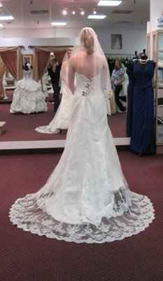 My dress is in!! :) *pics*