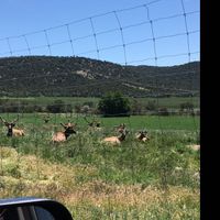 Venue Suggestions - 3