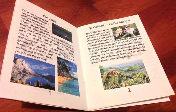 DIY Passport Save the Dates [Pictures]