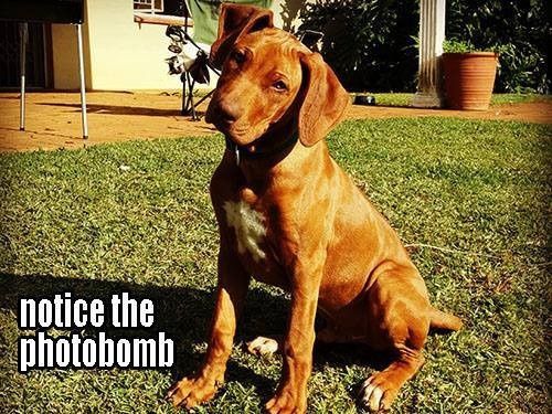 It's been a while...