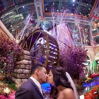 Destination Wedding in Las Vegas 10/12/12