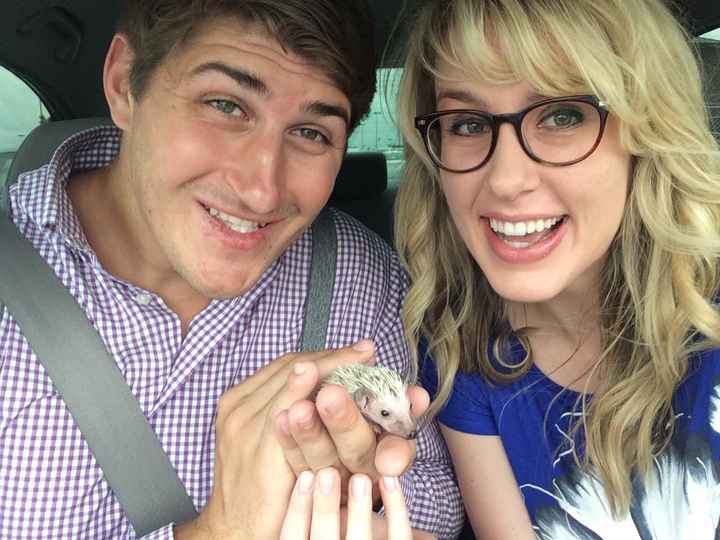 NWR: We finally got our baby hedgehog- cuteness off the charts!! *pics*