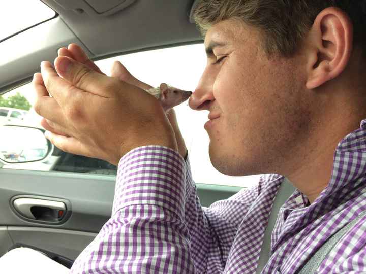 NWR: We finally got our baby hedgehog- cuteness off the charts!! *pics*