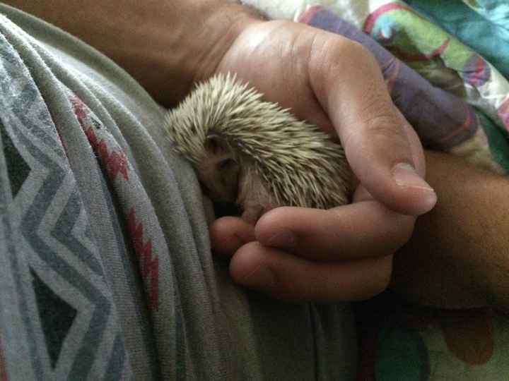 NWR.... KWR: love him (or her), this is why I'm marrying you moments