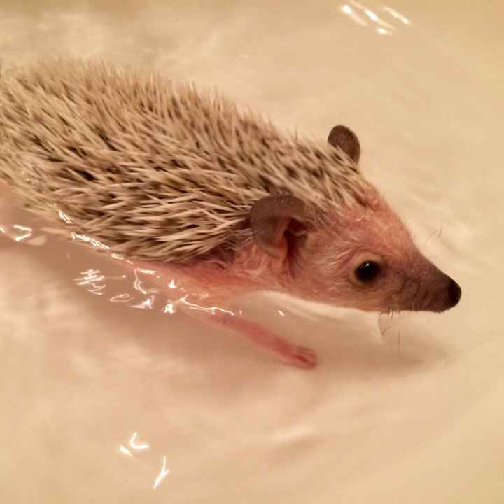 NWR Happy Fursday!!!