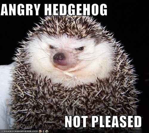 Now we have seen it all..