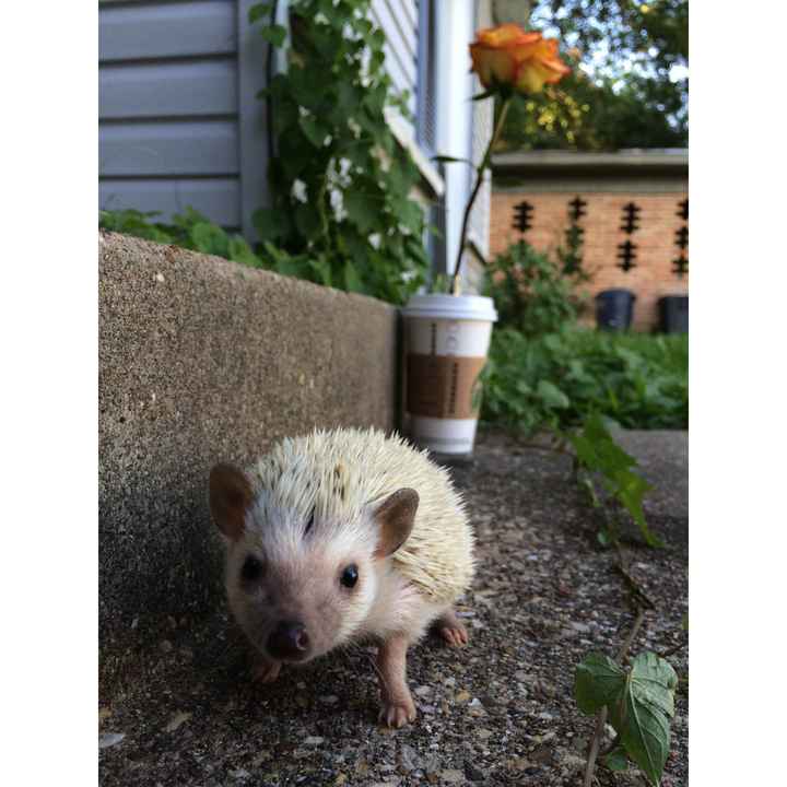 NWR: longest week ever. Need kitten pictures