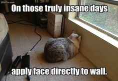 My first WW vent.  So stressed.  Need a money tree.