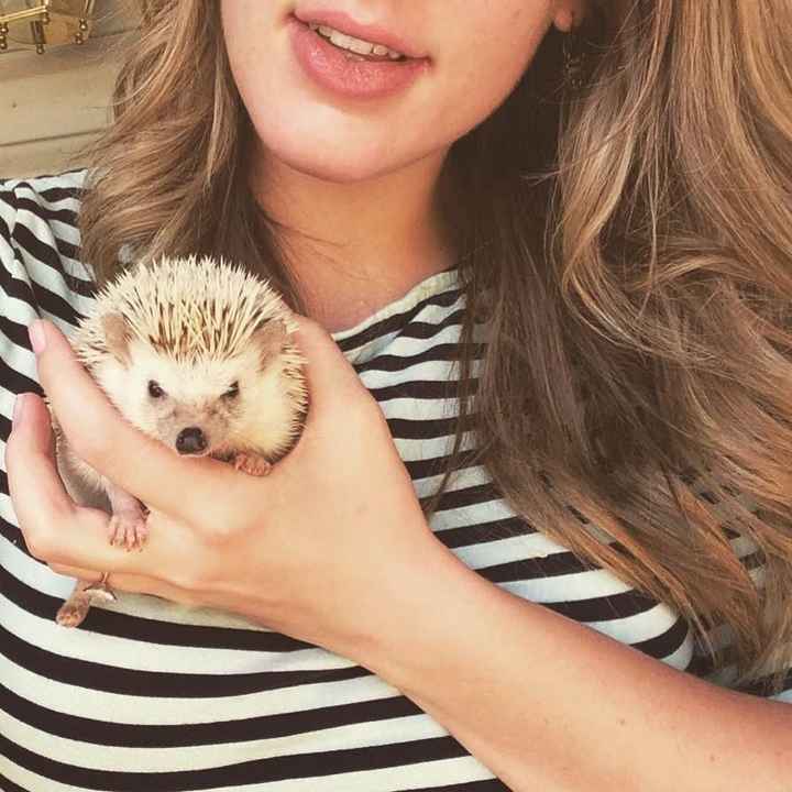 WEDDING WIRE AWARDS...