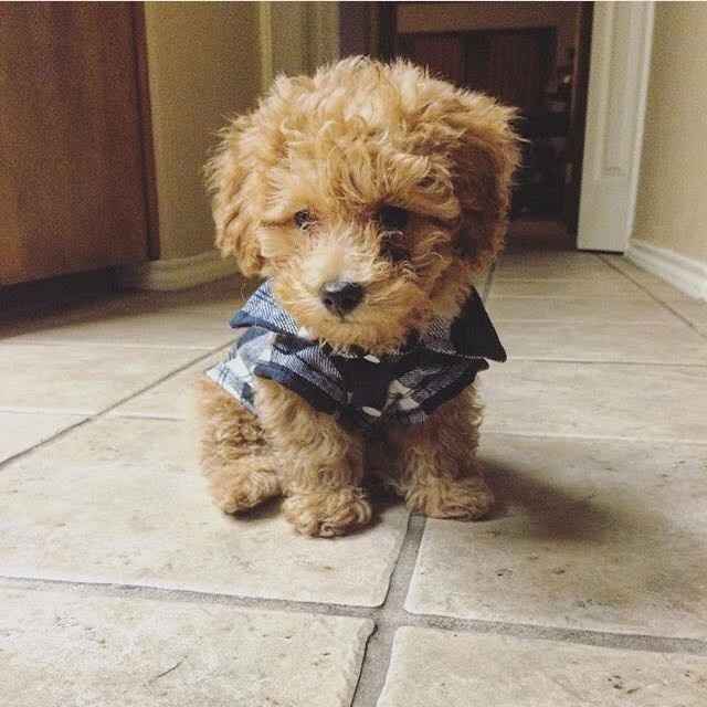 NWR: Cool fact, story, meme...