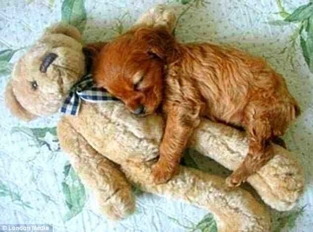 NWR: Share your uplifting stories