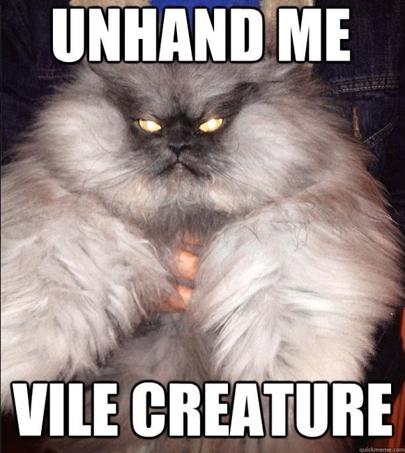 Monday Crankypants Party