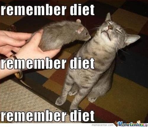 NWR: Tickled Tuesday