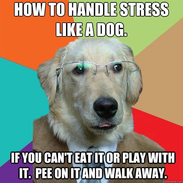 My first WW vent.  So stressed.  Need a money tree.