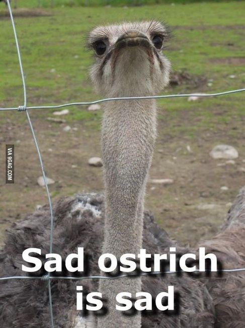 Ugggggh (WARNING: PITY PARTY)