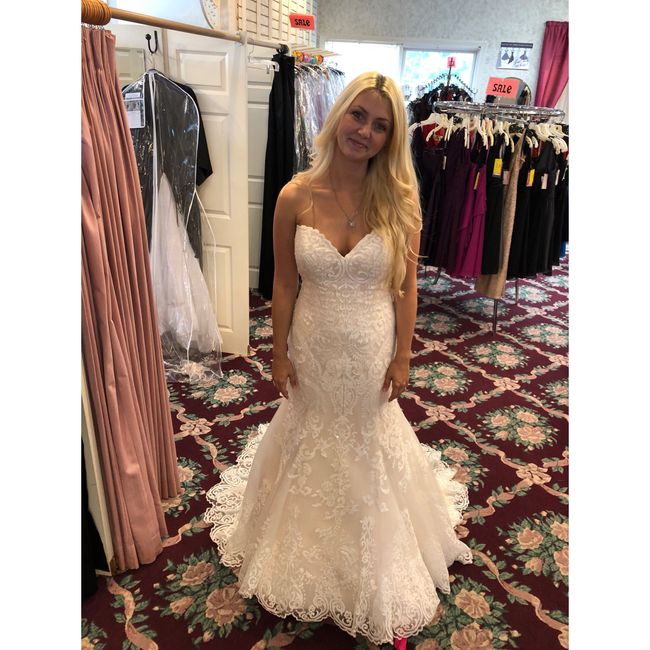 Dresses and Mores dresses - 2
