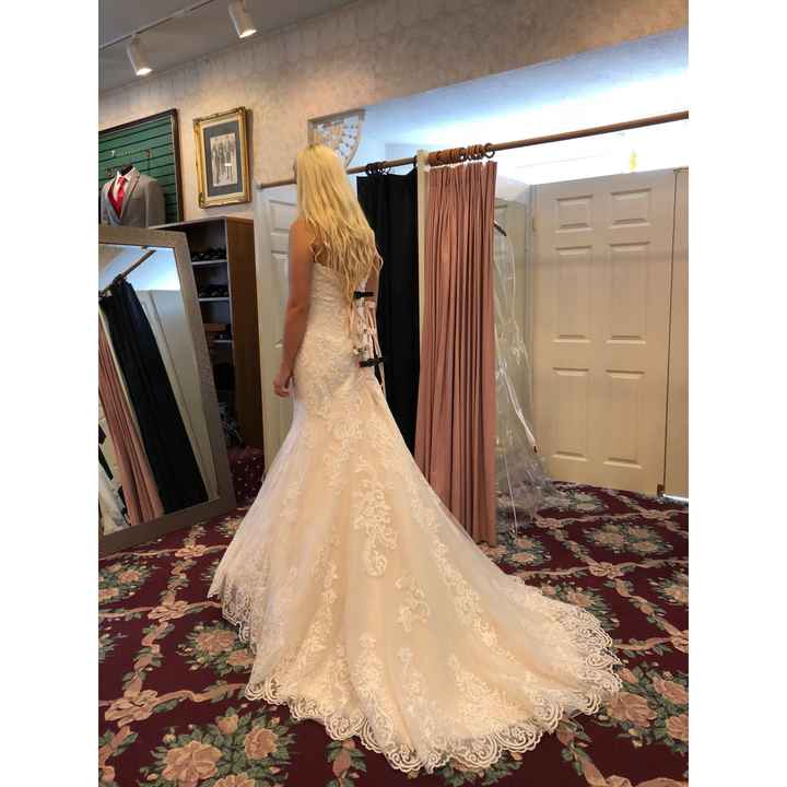 Dresses and Mores dresses - 3