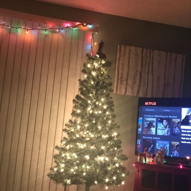 NWR- When do you put up your Christmas Tree?