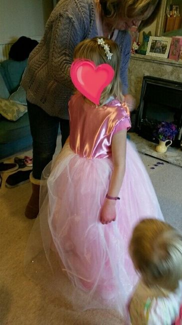 Flower Girl Dress