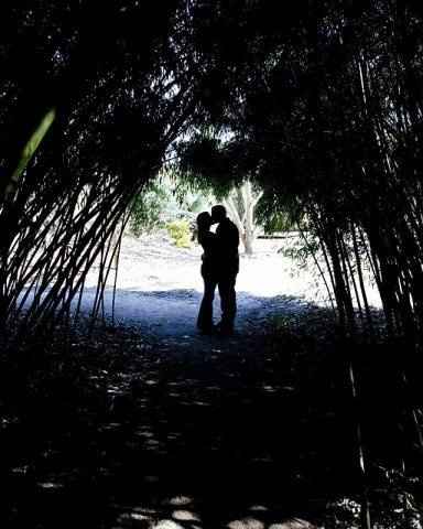 For thoses of you that have......