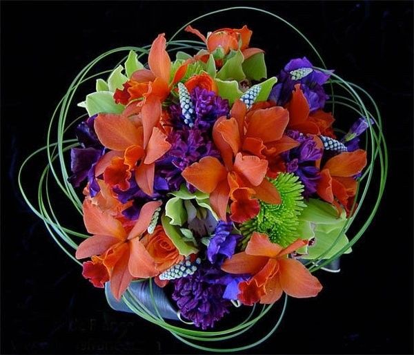 Purple and Orange