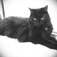 Show mee yourrr…..