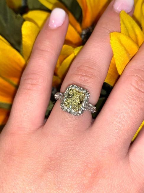 Show me the Ring!💍 - 2