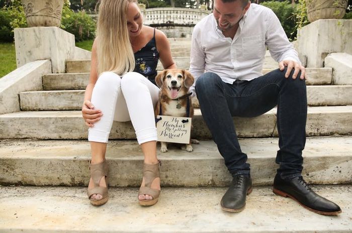 Engagement Photo Shoot with New Puppy? - 3