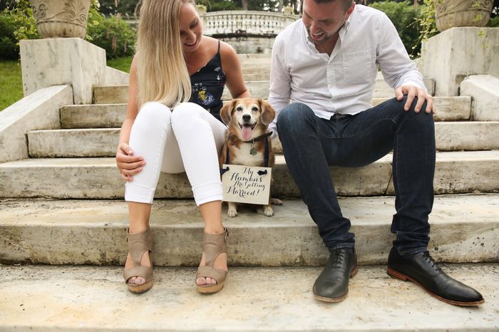 Engagement photos w/ dogs - 3