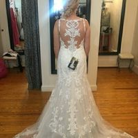 My dress came in!!!
