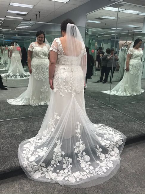 Plus Size Bride (davids Bridal/photography) 2