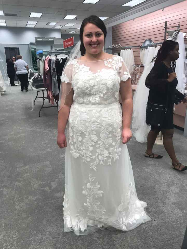 Plus Size Bride (davids Bridal/photography) - 1