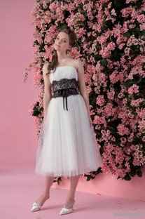 Question About wedding party dresses