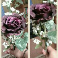 Diy project done thanks to FH