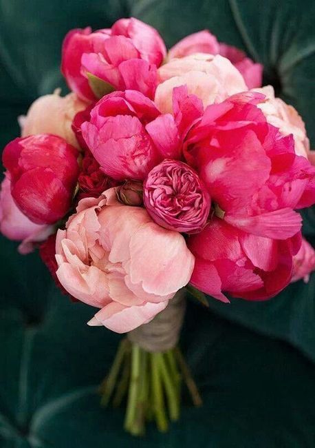 Decor Duel: Roses or Peonies? 2
