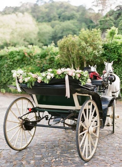 Vintage Ride or Horse-Drawn Carriage? 2