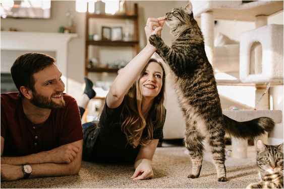 Engagement Photos - 2