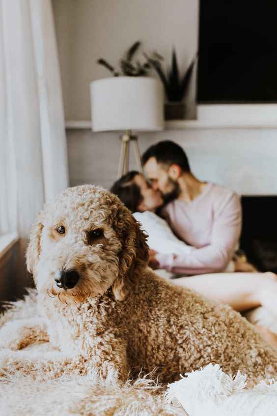 Engagement Photos - 3