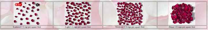 Freeze dried petals - 2