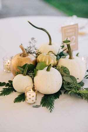 Fall classy pumpkin or White Ivory Theme - 2