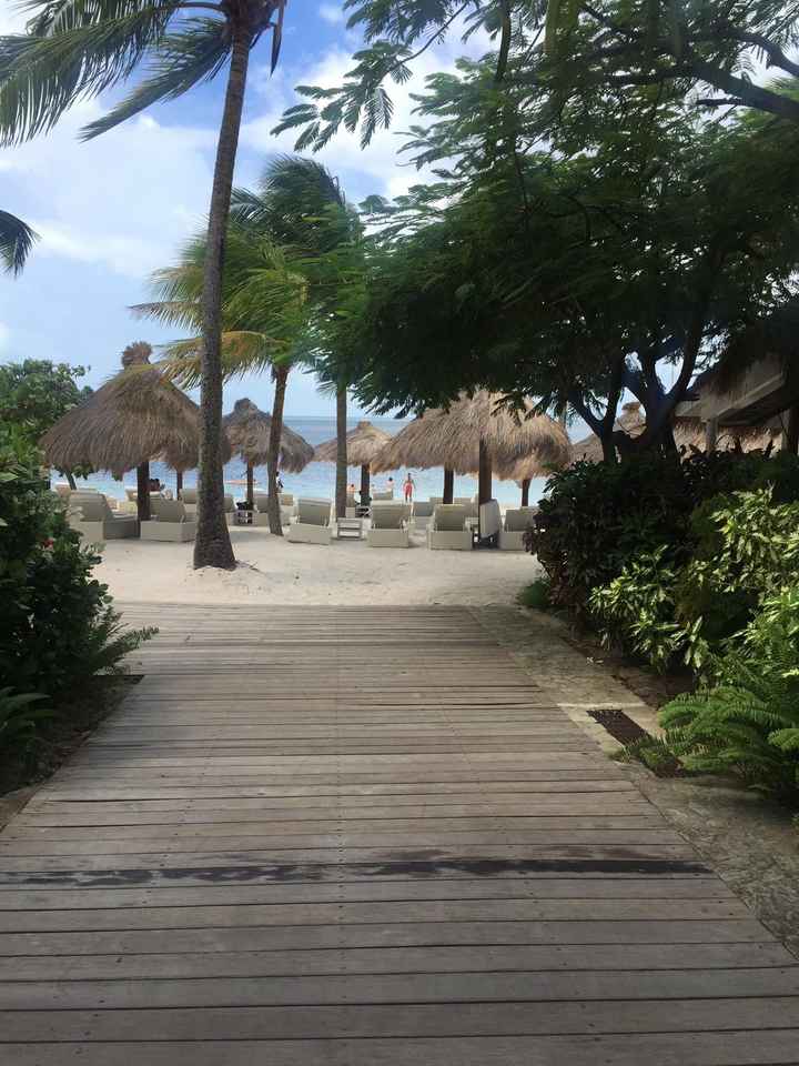 St. Lucia Honeymoon Suggestions? - 1