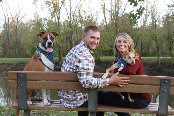 Engagement pics with our pup!!! - 2