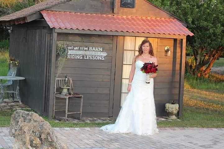 BAM what a wonderful day